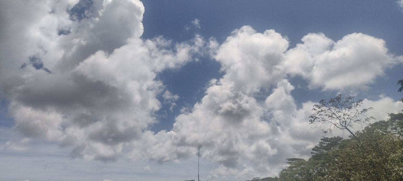 IMG_20230325_133607837_HDR.jpg