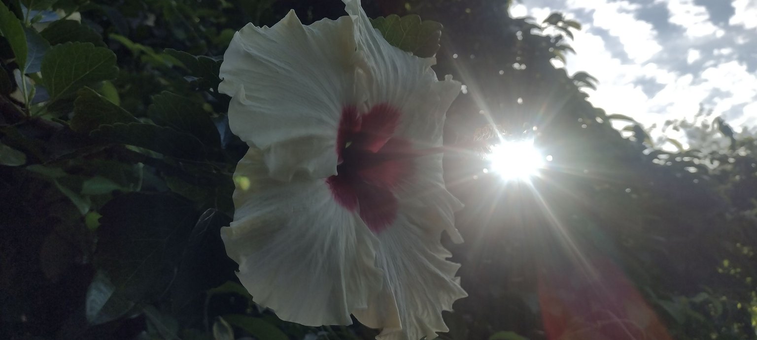 IMG_20230424_171822590_HDR.jpg