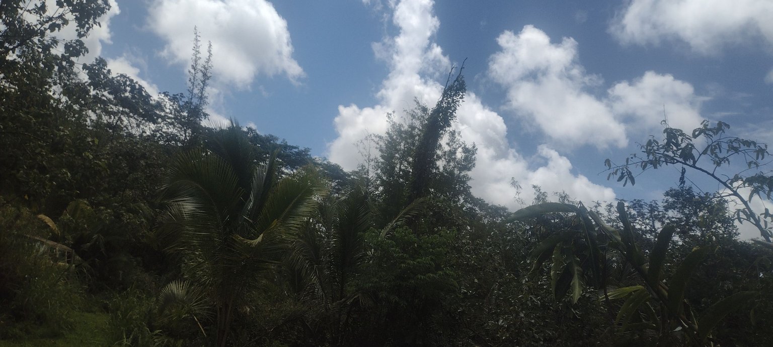 IMG_20230325_133537305_HDR.jpg