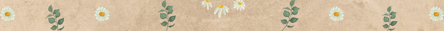 Captura.PNG