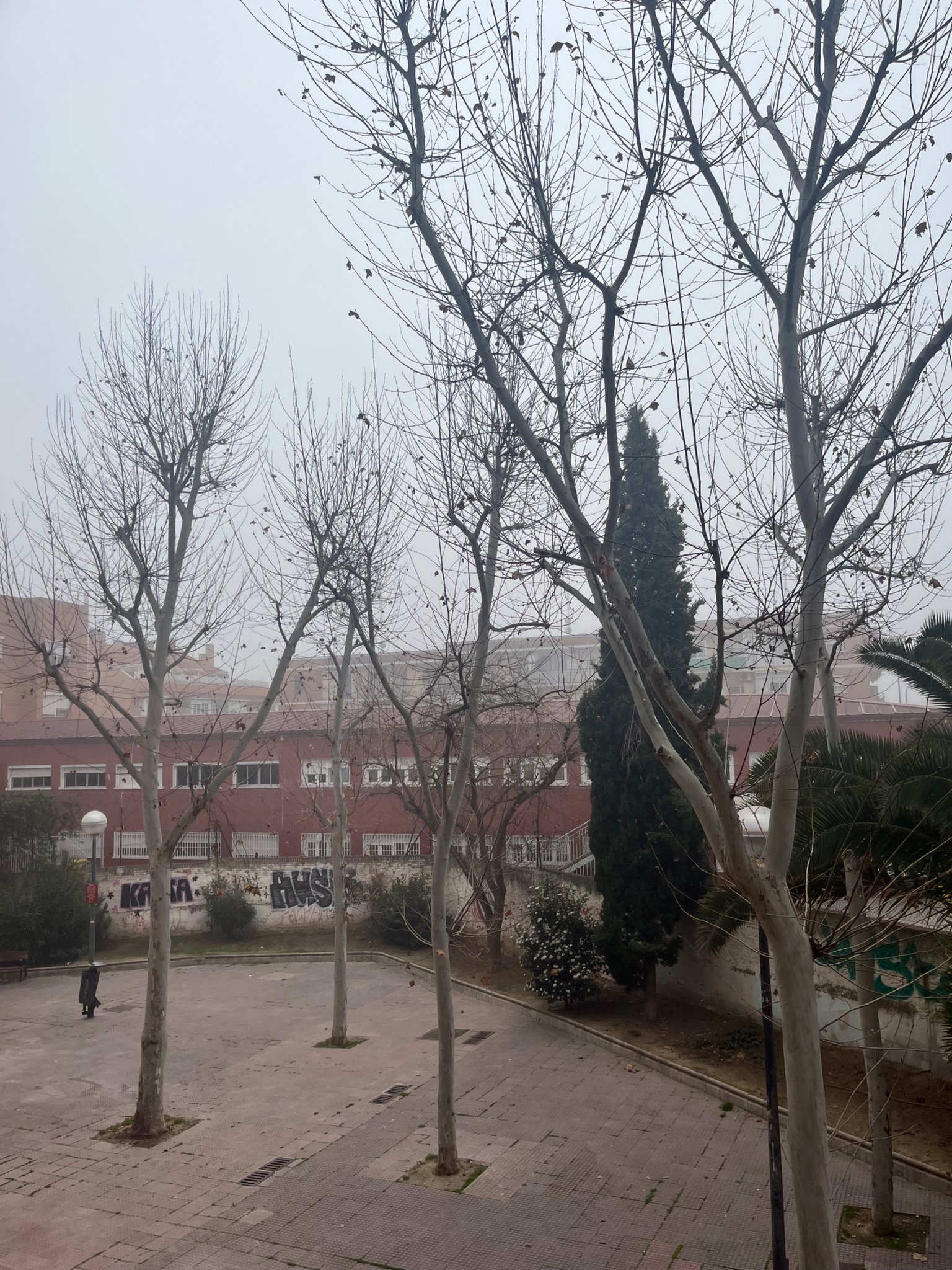 IMG_8941.jpeg