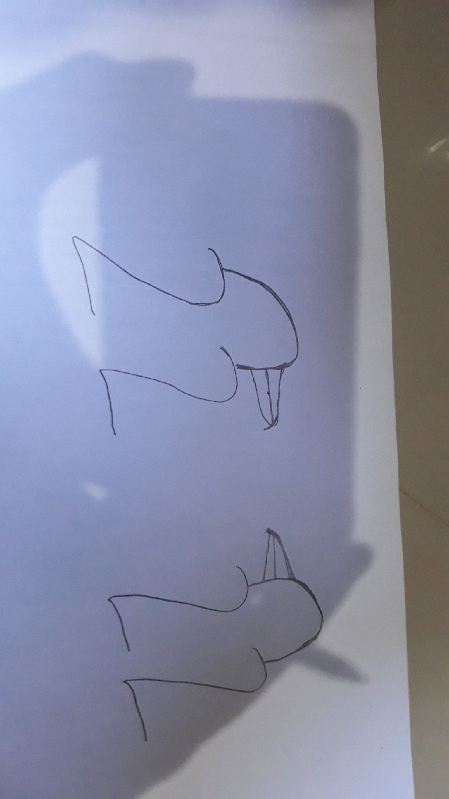 20250601_141501.jpg