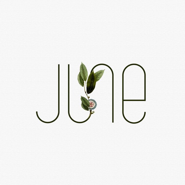 Sixth Month Of June: Declaration According To God's Word — Hive