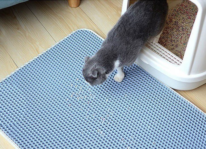 Choosing a Place for Your Cat’s Litter Box — Hive