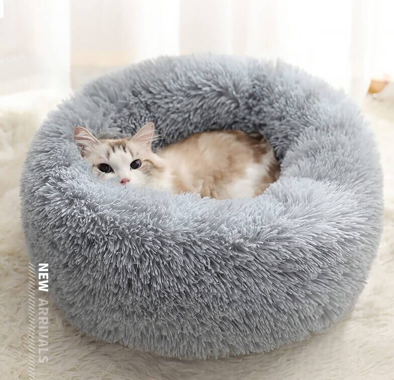 The 5 Coolest Cat Beds of 2020 — Hive