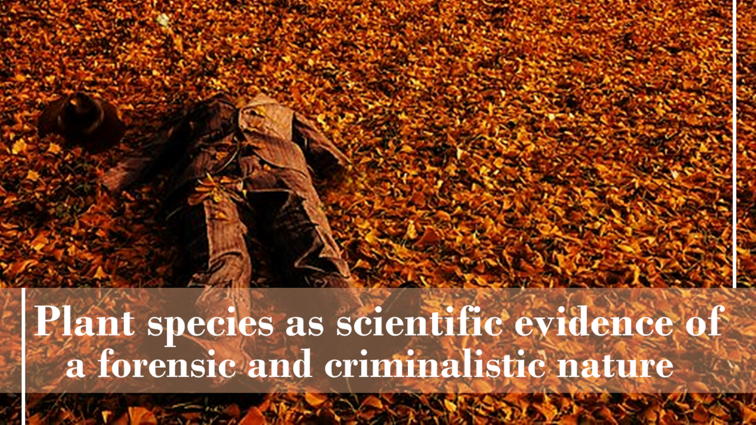 Botanical Evidence Examples Plant species as scientific evidence of a forensic and criminalistic ...