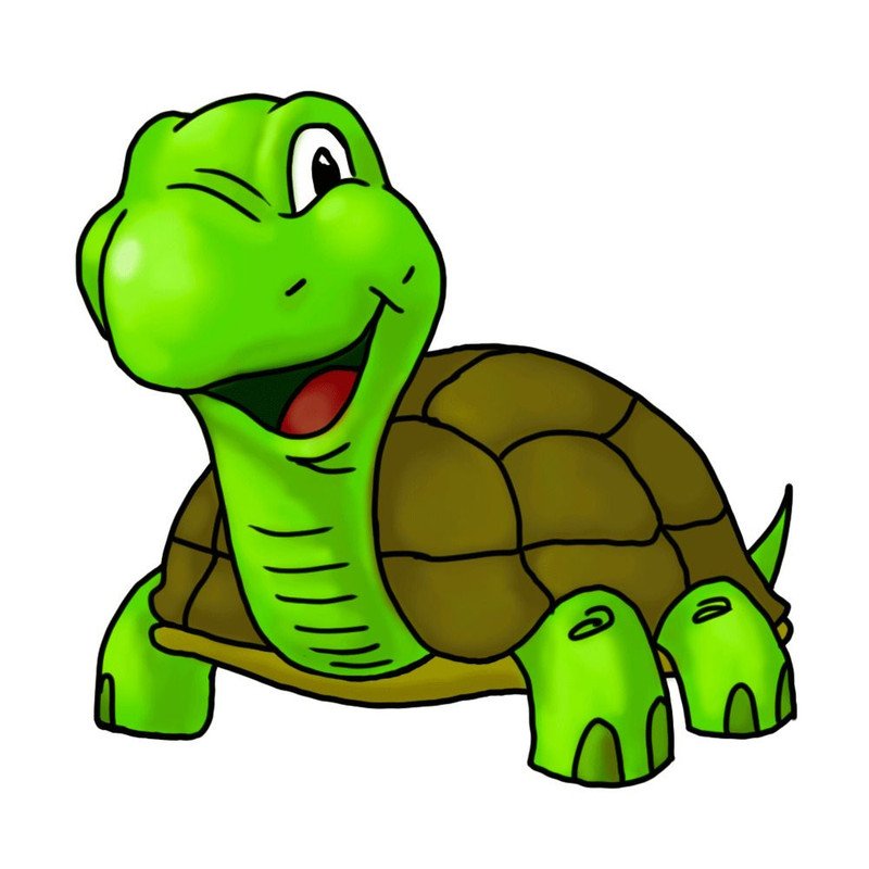 Timmy the turtle - A comprehension for kids — Hive