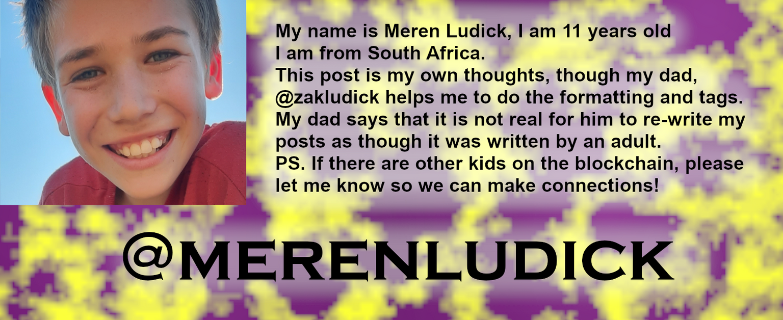 meren_starter_blurb.png
