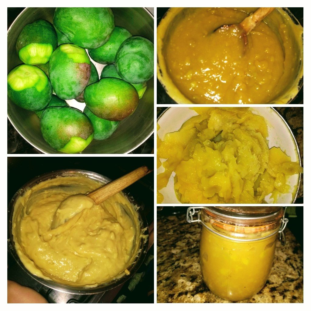 Mermelada de mango verde o jalea de mango — Hive
