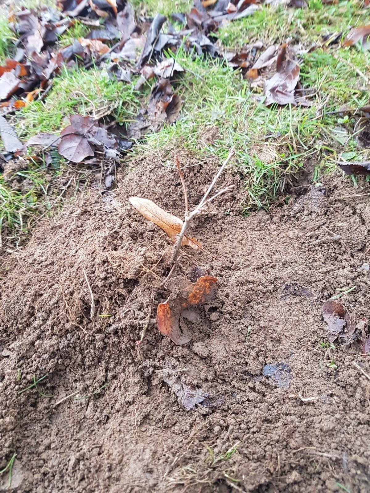 Mein Beitrag für.. ähm gegen den Klimawandel — Hive