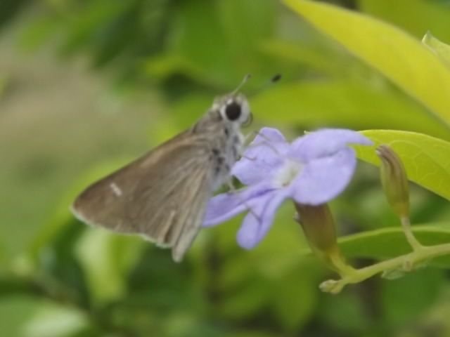 DSCF6294.JPG