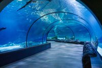 aquarium-tunnel-1580137044LzJ.jpg
