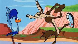 coyote.jpg