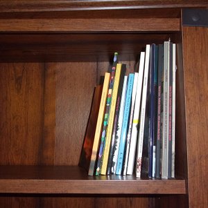 Bookcase With Books