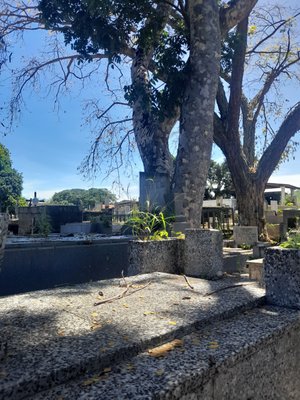 Cementerio
