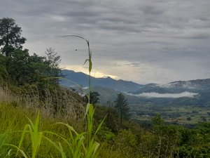 Montaña