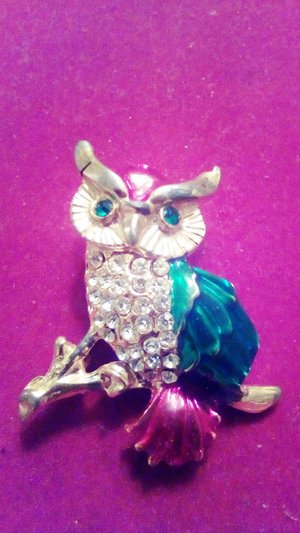 Fantasy owl