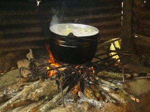 Wood-burning stove