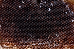 honeycomb 4366x2900px