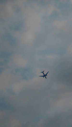 Avión en el cielo