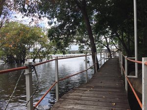 PUENTE SOBRE EL RIO