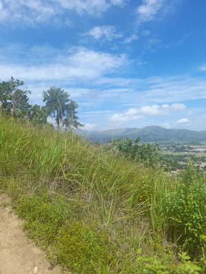 Cerro