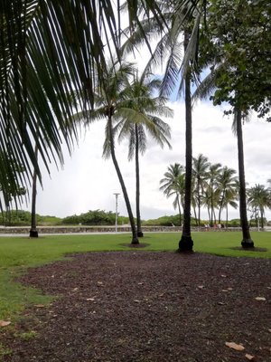 Paisaje Natural