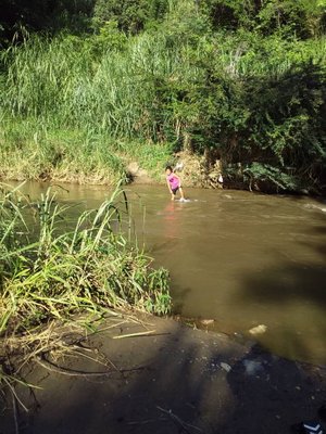 Paso del rio