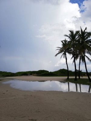 Paisaje Natural