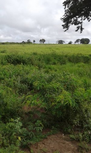 Paisaje natural