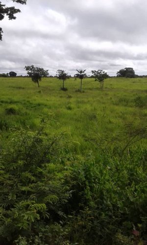 Paisaje Natural