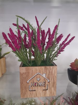 Flores en macetas