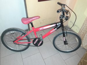 Bicicleta / Bicycle