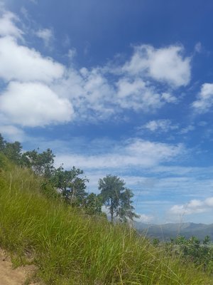 Cerro