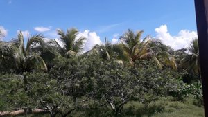 Paisaje natural