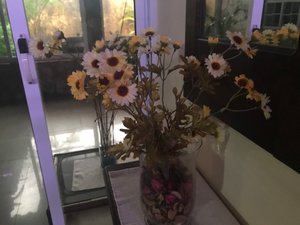 Flor de Roma