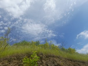 Cerro