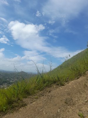 Cerro