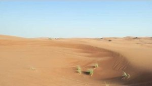 Desert