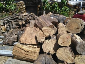 Firewood