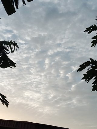 LIL image