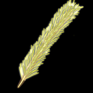 LIL image