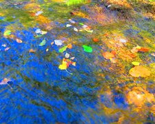 Taking Responsibility For My Health 