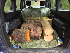 Mein kleiner Wald: Holz für den Winter sammeln (aktualisiert)