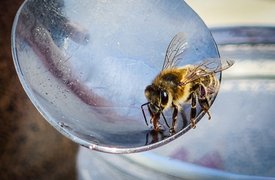 My Actifit Report Card: April 15 2026