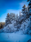 My Actifit Report Card: April 2 2026