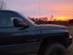 Out and about collecting firewood