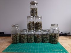 Guess the weight contest for Genius Juice