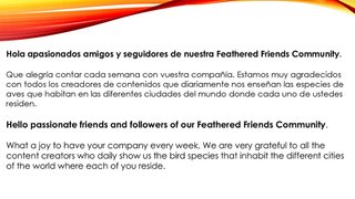 74 consecutive weeks choosing images of birds