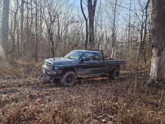 Out and about collecting firewood